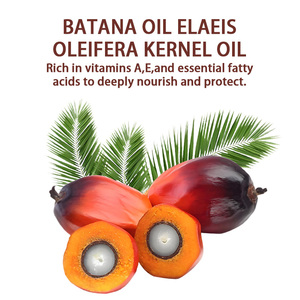 Aceite de Batana 100% Sin Refinar, Previene la Caída del Cabello, Fortalece el <span class=keywords><strong>Cuero</strong></span> <span class=keywords><strong>Cabelludo</strong></span>, Fortalece el Cabello, Lo Hace Más Largo, Anti-Enredos, para Cabello Rizado y Seco, Uso Doméstico, Fácil Absorción - Product Image 6