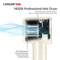 Logo personnalisé OEM Moteur sans balais à grande vitesse Sèche-cheveux professionnel à ions négatifs Sèche-cheveux
