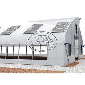 Invernadero Solar Fotovoltaico de Bajo Costo con Panel Solar de un Solo Tramo, Película de Plástico Fotovoltaica, Invernadero Solar para Agricultura - Product Image 2