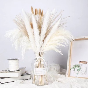 Herbe de la <span class=keywords><strong>Pampa</strong></span> Séchée en Gros pour Bouquets de Mariage, Fête des Pères, Remise de Diplôme - Imperméable, Longue Durée, Personnalisable - Product Image 3