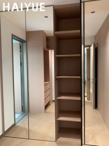 <span class=keywords><strong>Armario</strong></span> Moderno de Lujo HAIYUE de Madera Maciza con <span class=keywords><strong>Espejo</strong></span> de Cuerpo Entero para Dormitorio Principal o Vestidor - Product Image 2