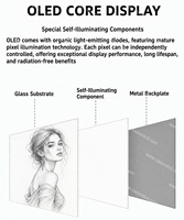 55 İnç Ultra İnce Yüksek Çözünürlüklü HD OLED Dokunmatik Ekranlı Dijital Tabela Ekranı Asansör Büyük Şeffaf Dokunmatik Arayüz Küçük