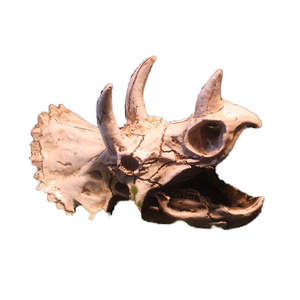 Tianbo Kunstharz-Dinosaurierschädel Umweltfreundliche Innendekoration für Reptilien- und Amphibienbedarf 16x8x11cm - Product Image 2