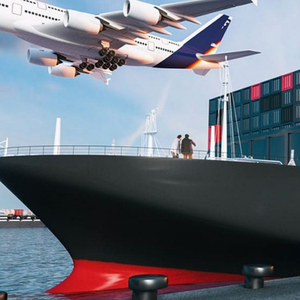 Дешевая и международная цена доставки во франку Италия Нидерландские услуги от двери до двери Шэньчжэнь в США Дешевое складирование - Product Image 6