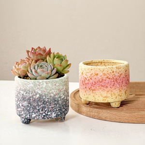 <span class=keywords><strong>Maceta</strong></span> para Flores y Suculentas, Estilo Moderno Minimalista, Transpirable y Resistente a la Corrosión, para Jazmín y Crisantemo, de Interior, OEM ODM - Product Image 2