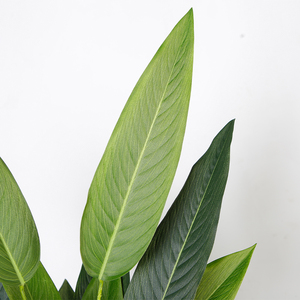 Décorer de petites plantes, 300x95cm de hauteur, arbres artificiels, bonsaï, décoration pour la maison - Product Image 2