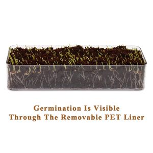 Planteur d'herbe de chat en bois avec disques de <span class=keywords><strong>terreau</strong></span>, pot de culture d'herbe de blé, kit d'herbe de chat <span class=keywords><strong>pour</strong></span> animaux de compagnie de chats d'intérieur (jaune vieilli) - Product Image 4
