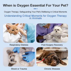 Olivevet טוהר גבוה 3l 5l וטרינר 5 ליטר כלב חמצן וטרינרי עבור בעלי חיים - Product Image 6