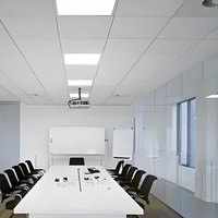 Fábrica de China Acústica Perforar Caída falsa Metal Panel de techo de aluminio Techo suspendido