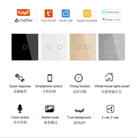 Interruptor Inteligente de Pared TYSH con 1/2/3/4 Botones y 1 Vía, Módulo Táctil para Lámpara con Control Remoto Inalámbrico, Compatible con Matter, Tuya, WiFi y Alexa para Smart Home