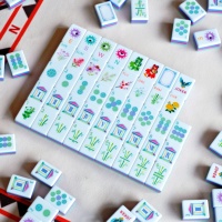 Jeu de Mahjong Américain Moderne de Luxe Personnalisé 160 Pièces – Oeil de Soleil, Papillon, Oiseau, Floral, Joker – en Acrylique pour Famille et Club
