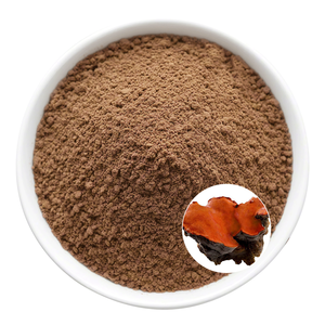 Pure <span class=keywords><strong>Antrodia</strong></span> Camphorata Extract-Suplemento de hierbas para productos naturales de bienestar - Product Image 1