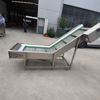 RVS gaasbandtransportband voor voorwas- en hefwerken in de fruit- en groenteproductielijn