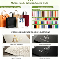 Sacs en papier cosmétiques de qualité supérieure personnalisables pour des designs personnalisés, chaussures, vêtements, avec des sacs cadeaux de luxe