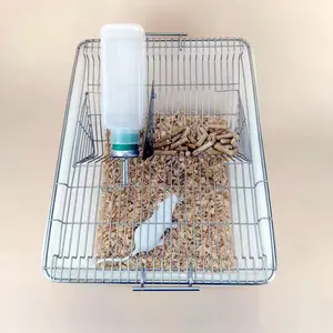Rato reprodutor de ratos para laboratório, rato para recolher roedores banheiras de laboratório gaiolas do rato