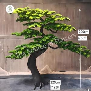 Árbol de <span class=keywords><strong>Cedro</strong></span> Personalizado Directo de Fábrica, Personalización OEM y ODM, Podocarpus, Bonsái Artificial Grande para Interiores y Exteriores - Product Image 2