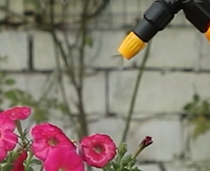 Ajustable 1l Capaciteit Multifunctionele Sproeier Met Kunststof Pomphendel En Handmatige Drukspuit Voor Tuin - Product Image 4