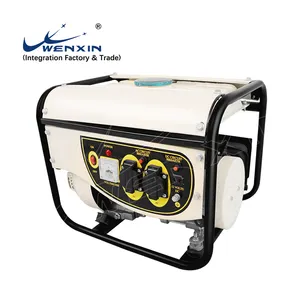 WENXIN Manufacture 1000W Gasoline Petrol Recoil Power Generator