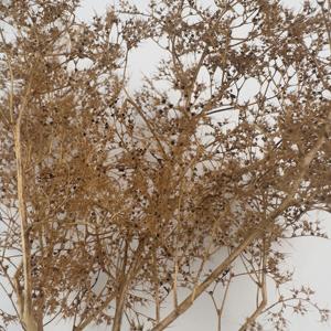 Árboles y Arbustos de Maqueta Superrealistas para Escaleras, ModelO HO 00 n, Diorama de Juegos de Guerra, Fondo de Tren - Product Image 3