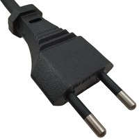 Câble d'extension 10A 250V H05RN-F Europe à 2 broches vers 2 fils dénudés avec bornes
