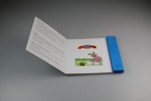 หนังสือเสียงบลูทูธส่วนบุคคลสำหรับเด็กโรงงานรองรับไฟล์ MP3ดาวน์โหลดผ่านของขวัญแปลกใหม่ USB - Product Image 3