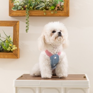New Cute Modern Decorative Summer Denim Dress for <b>Small</b>/Medium Dogs-Lightweight Spring Clothes - Product Image 3