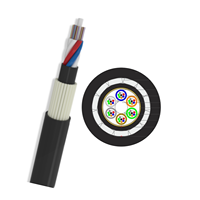 Câble de tige ADSS FRP d'antenne d'armure non métallique 12 24 48 96 câble optique extérieur d'Anti-rongeur de noyau prix par mètre