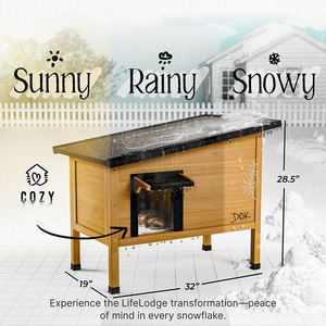 Maison pour chat chauffée extérieure en bois massif écologique avec triple <span class=keywords><strong>isolation</strong></span> et fermeture push-up pour abri pour chat sauvage d'hiver - Product Image 2