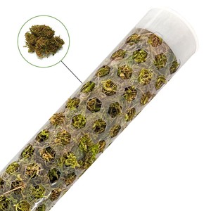 Indoor <strong>Plants</strong> Supporting Extendable <strong>Selfwatering</strong> Steel Coir Fiber Anti-Mouldy Moss Pole for Home &amp; Garden - Product Image 2