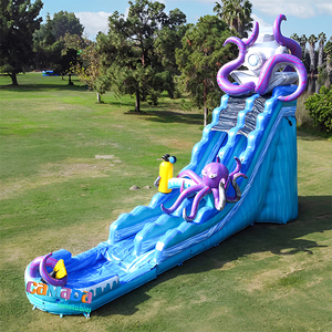 Toboggan aquatique gonflable commercial économique, grand modèle Poulpe, double piste <span class=keywords><strong>avec</strong></span> <span class=keywords><strong>piscine</strong></span>, pour adultes et enfants, pour le jeu estival - Product Image 4