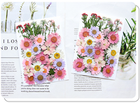 Sac de mélange de fleurs pressées série quatre saisons assortiment de fleurs et de feuilles colorées pour maquillages en résine