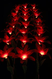 Led jardin étanche éclairage extérieur Noël vacances plaza paysage décoration lampe à fleurs - Product Image 5