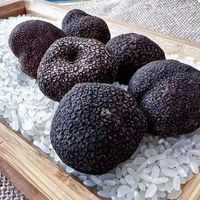 Truffe Champignons comestibles Champignons truffes