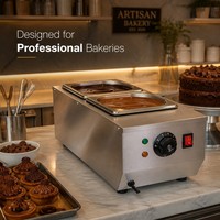 Machine à chocolat double plateau électrique professionnelle 220V 0.6kW, chauffe-chocolat de comptoir pour café, boulangerie, pâtisserie