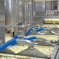 Geavanceerde productielijn voor diepvries frites, aardappelstokjes en crinkle chips: schillen, snijden, blancheren en frituren (200 kg/u, 300 kg/u, 500 kg/u)