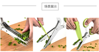 Ciseaux de cuisine en métal tout usage Ensemble de ciseaux à herbes à 5 lames avec support et brosse