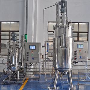 Durabilidad del fotobiorreactor y bajo mantenimiento a largo plazo para cultivo de luz continua 600L - Product Image 5