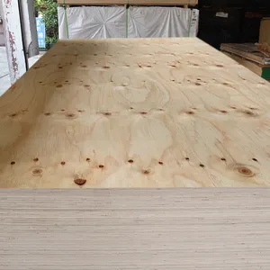 bb-8 phenolic hardwood board sheet pine wood veneer ply wood commercial plywood board mr. p. with Good Price