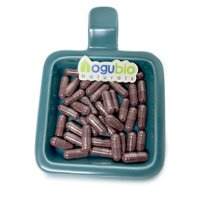 AOGUBIO OEM Private Label <span class=keywords><strong>drago</strong></span> estratto di sangue in polvere capsule di vendita a caldo di alta qualità <span class=keywords><strong>drago</strong></span> sangue integratore - Product Image 2
