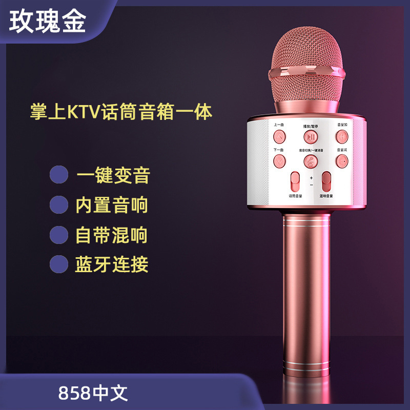Rose Gold 858 (Chinese)