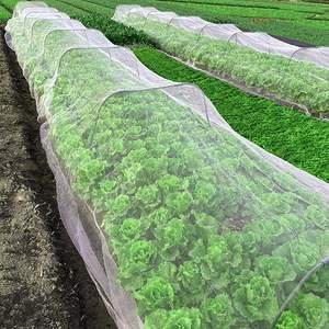 غطاء صف نباتي من Abimars فائق النعومة 60 شبكة من البولي إيثيلين للخضروات والفواكه والزهور والفناء الخلفي وحماية الدفيئة - Product Image 2