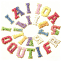Patchs en chenille colorés personnalisés à faible MOQ, lettres tendance, badges brodés pour vêtements, patchs thermocollants