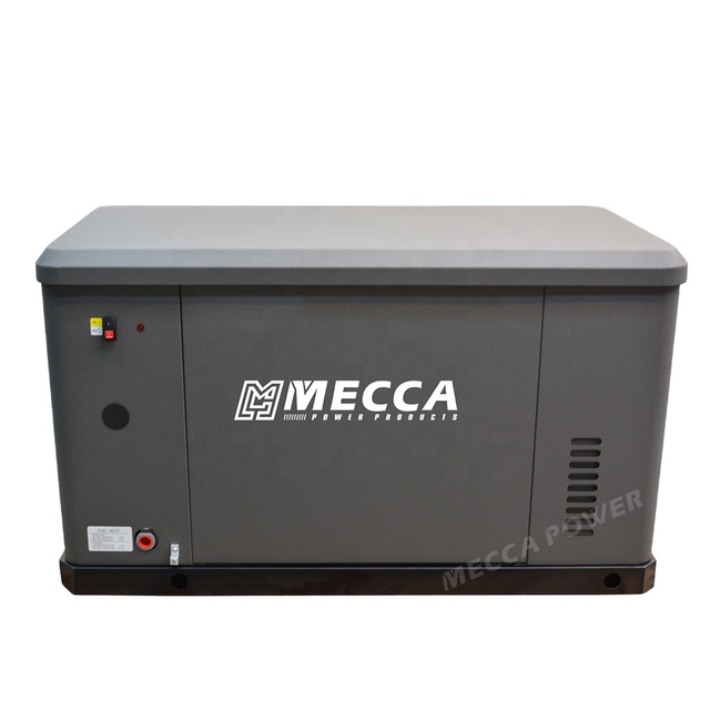 10kw-20kw Dual Fuel LPG Generator Set Natural Gas Generators for Home Standby Use 50HZ 60HZ