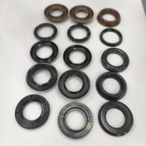 Kit de sellado de agua para cabezal de bomba de émbolo de máquina de limpieza a alta presión 20 * 35 KIT69 para WS201 WS202 WS101 WS102 T1011 T2031 - Product Image 1