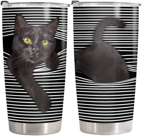 Black cat hide and seek