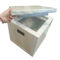 Boîte médicale pliable en PU Cellthermo pour livraison réfrigérée, grande capacité, isolation thermique, panneau isolant sous vide, portable