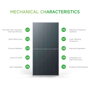 Paneles Solares Fotovoltaicos Tipo N de Alta Eficiencia, 570w 580w 590w, Módulo Solar Bifacial, Energía Solar Monocristalina para la UE - Product Image 2
