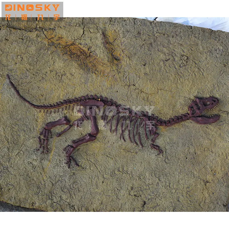 Handcraft Liopleurodon skeleton fossil Dinosaur Skeleton Replicas Display in science museum