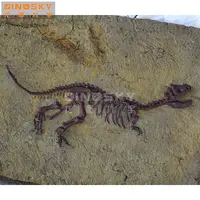 Artigianato Liopleurodon scheletro Scheletro di Dinosauro fossile Repliche Display in museo della scienza