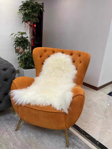 Sillón Individual de Lujo, Moderno, Tapizado en Terciopelo, para Hotel, Hogar, Oficina, Dormitorio, Sala de Estar, Comedor, Apartamento - Product Image 5